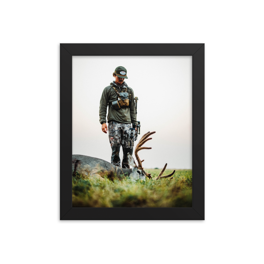 Mule Deer Miracle